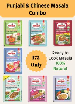 Punjabi & Chinese Masala Combo